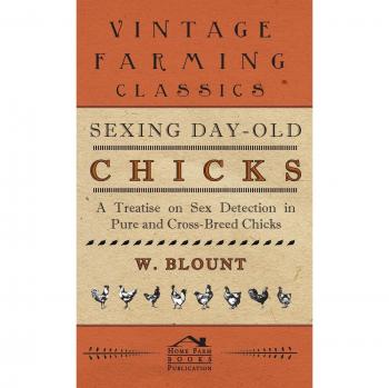 Sexing Day-Old Chicks