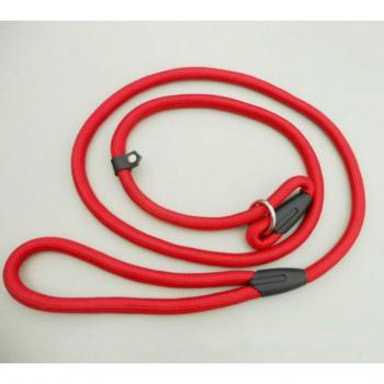 Hunde P-Kette Leine mit Unterhose Kragen für Training