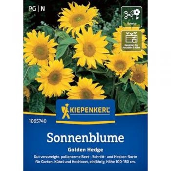 Kiepenkerl Girasole Dorato