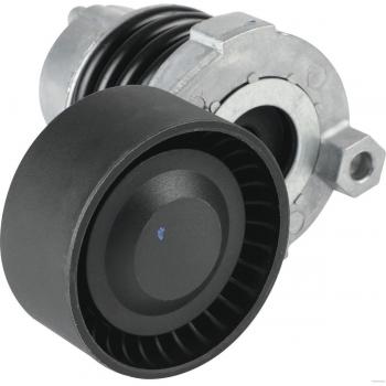 Servizio di Tenditore Cinghia HERTH+BUSS J1141090