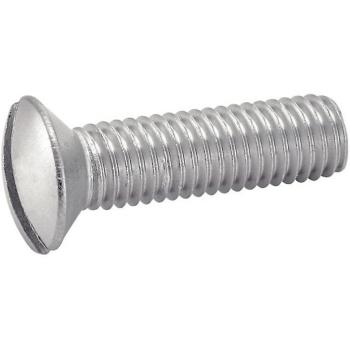 Vis à Tête Protorx 25 mm Fendue