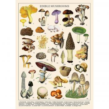 Puzzle Fungi Vintage 25 Champignons Comestibles