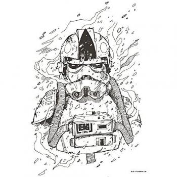 Affiche Komar Star Wars : Pilote de Chasseur en Couleurs – 30 x 40 cm