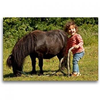CALVENDO Kids Joy – 75 × 50 cm Textil-Leinwand, Shetlandpony Druck