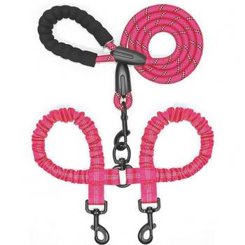 Kit de seguridad para caminar con dos vías Cawayi Kennel Modelo D8164