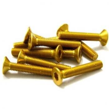 MSC 10x Bolts M6 7075T6 Anodici – 40 mm