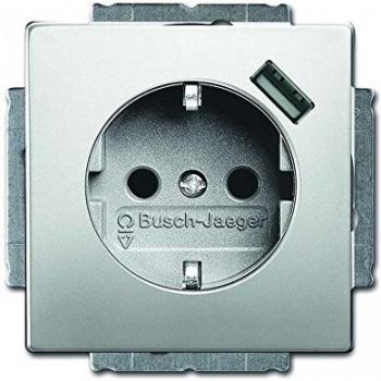 Busch Jaeger Randaarde WCD met USB 866 PSS