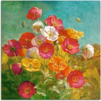 Artland Leinwandbild »Mohnblumenidylle«, Blumen, (1 St.), auf Keilrahmen gespannt