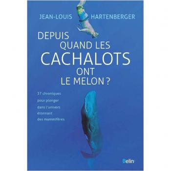 Depuis quand les cachalots ont le melon ?