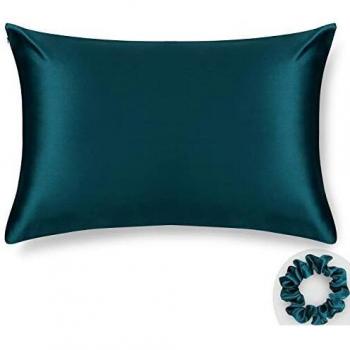 ALASKA BEAR 100% Silk Pillowcase, 19 Momme, Standard Size, Hidden Zipper