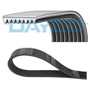 Correa poli V DAYCO 8PK2622HD