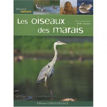Les oiseaux des marais