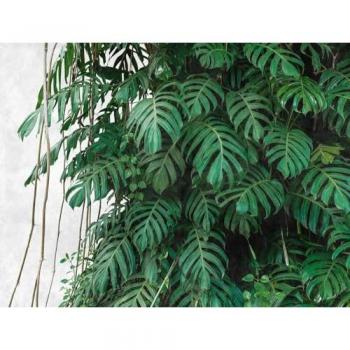 Papier peint décoratif