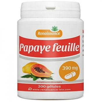 200 gélules de Feuille de Papaye 390 mg