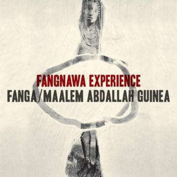 Fangnawa experience vinilo