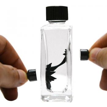 Bouteille Carrée de Liquides Magnétiques – Cadeau Éducatif Transparent