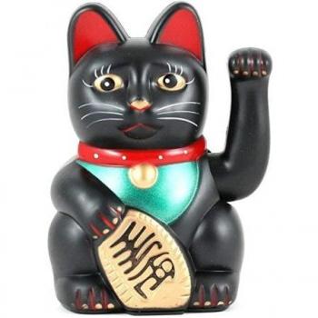 Gato de la riqueza
