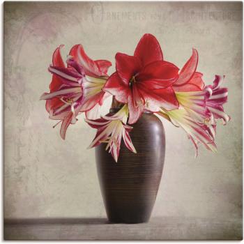 Artland Wandbild »Amaryllis Blütenzauber II«, Blumen, (1 St.), als Alubild, Outdoorbild, Leinwandbild in verschied. Größen