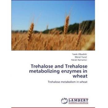 Trehalose and Trehalose metabolizing enzymes in wheat
