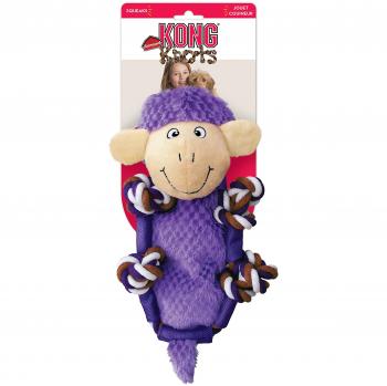 Kong Edible Toy
