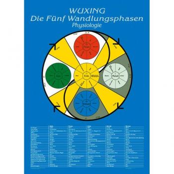 Die Fünf Wandlungsphasen: Physiologie