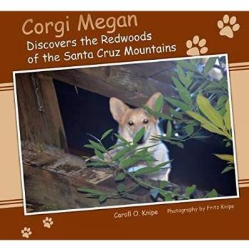 Corgi Megan Discovers the Redwoods of the Santa Cruz Mountains