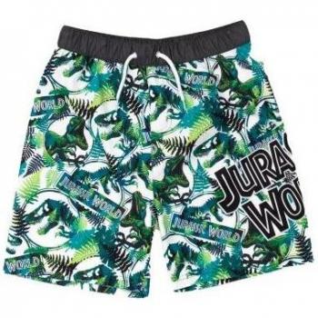 Dino Dive Boys' Jurassic Swimwear