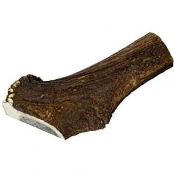 Arquivet Moyenne Corne de Cerf XL avec poids moyen (145 gR)