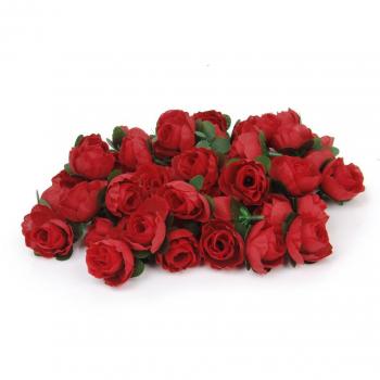Red Rose Buds