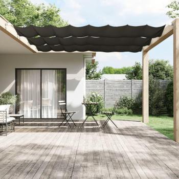 Toldo Urbano Antracita 60 × 800