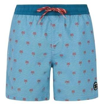 Parko Waterzwemmingsshorts