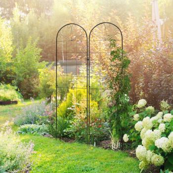 Grid Design Set of 2 Metal Trellis for Climbing Plants