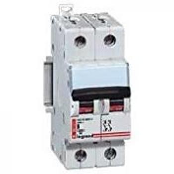Legrand 006263 DX 6000 2P Circuit Breaker