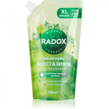 Radox Sapone liquido ricarica Proteggi e Rinfresca 500 ml
