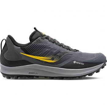 Saucony Herrenschuh Peregrine 12 GTX