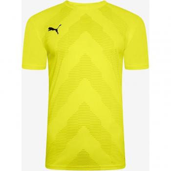 Puma TeamGLORY Herren Fußballshirt gelb L