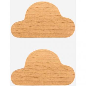 Magnetized Cloud Key Organizer