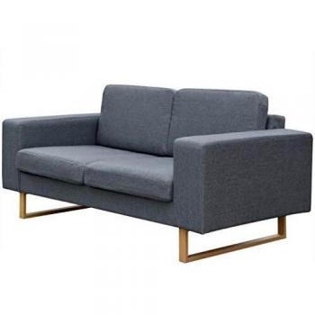 VidaXL Stoffsofa 2-Sitzer Wohnzimmer Hellgrau