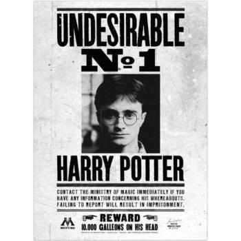 Harry Potter Canvas Print Indesiderabile N. 1