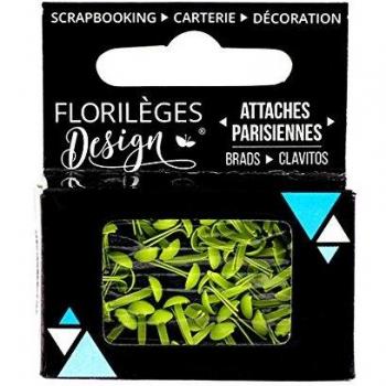 Céleri Mini Attache Florilèges Design FDAPM116