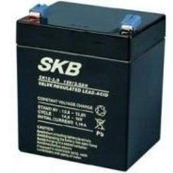 Batteria PB 12V 2,9AH FAST. 4,8