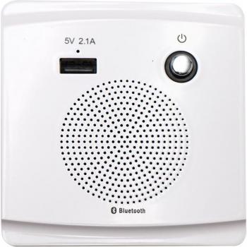 Bluetooth Speaker Socket with 5V USB Charging