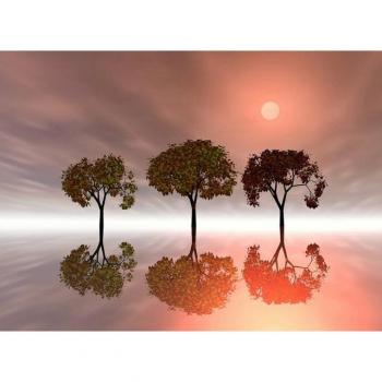 Papermoon Fototapete „Bäume im Wasser“ – mit UV‑schutzbeschichtung