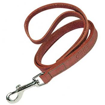 Gloria Oasis Red Dog Lead 60 cm