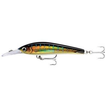 Rapala X-Rap Magnum Schwimmender Köder 16cm