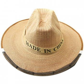 Beekeeping Cowboy Hat with Protective Mask
