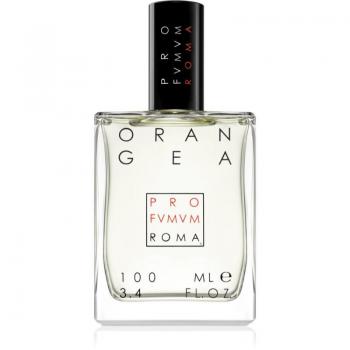 Profumum Roma Orangea Eau de Parfum Unisex 100 ml – Duft für Alle Geschlechter