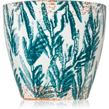 Fresh Bamboo Citrus Wick