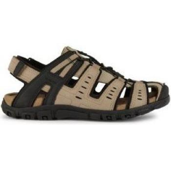 GEOX Schuhe Strada Herr Helltaube male 46