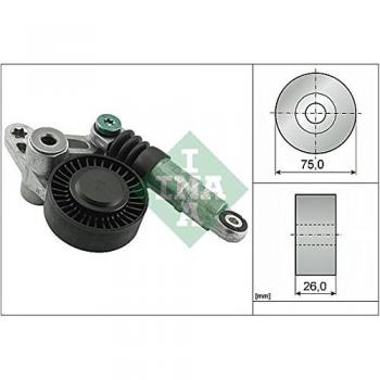 INA Tensioner Pulley for Audi A4 A6 A8 Q7